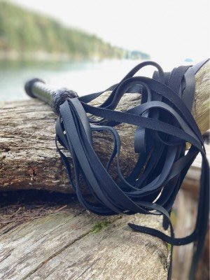 A black leather flogger resting on a log with the ocean in the background